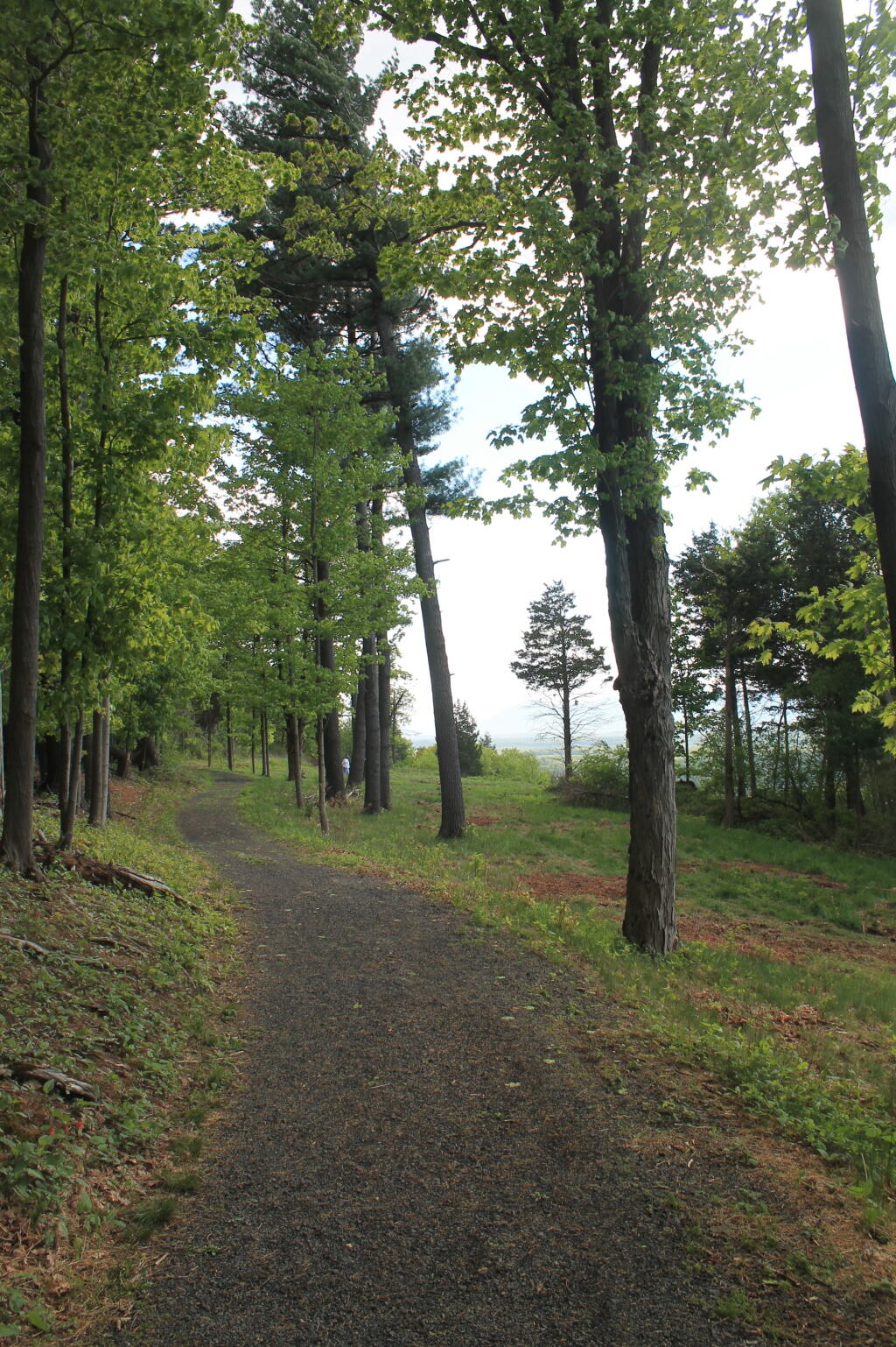 Photo: Along the Old Carriage Road