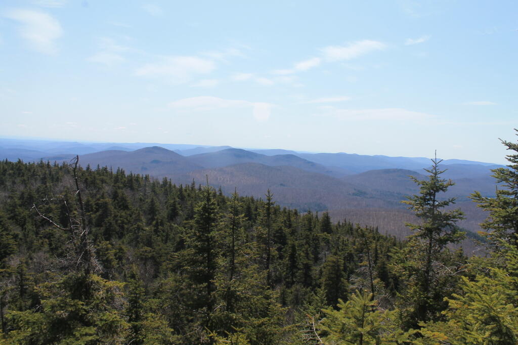 Photo: South Off Crane Photo: South Off Crane