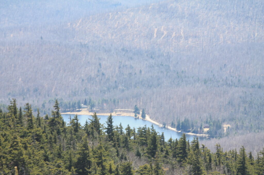 Photo: Little Pond Photo: Little Pond