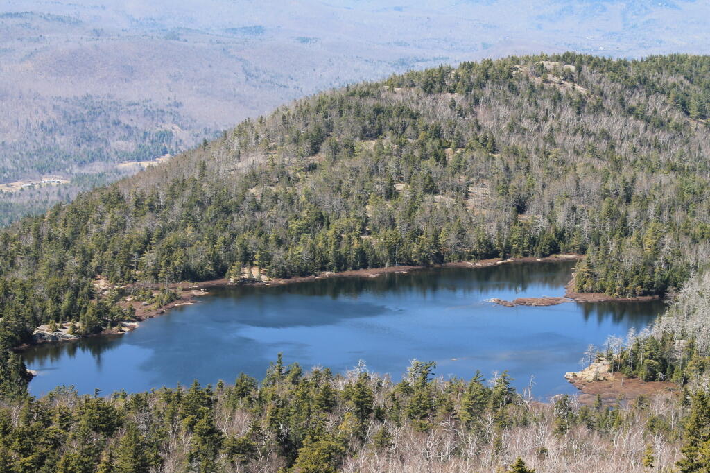 Photo: Crane Pond