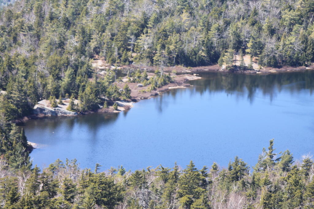 Photo: End of Crane Pond Photo: End of Crane Pond