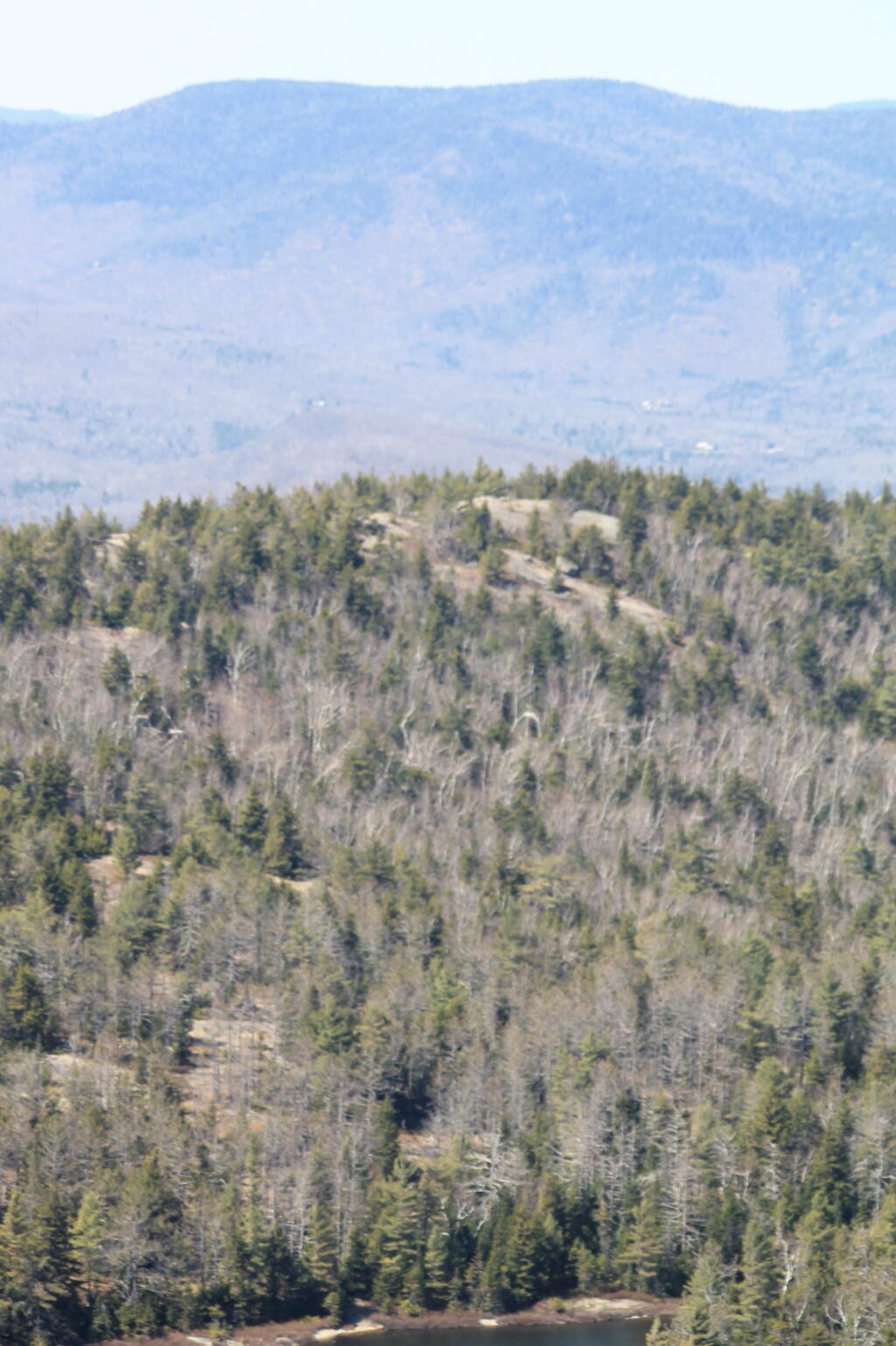 Photo: Crane Pond Mountain with Eleventh Mountain Behind It Photo: Crane Pond Mountain with Eleventh Mountain Behind It