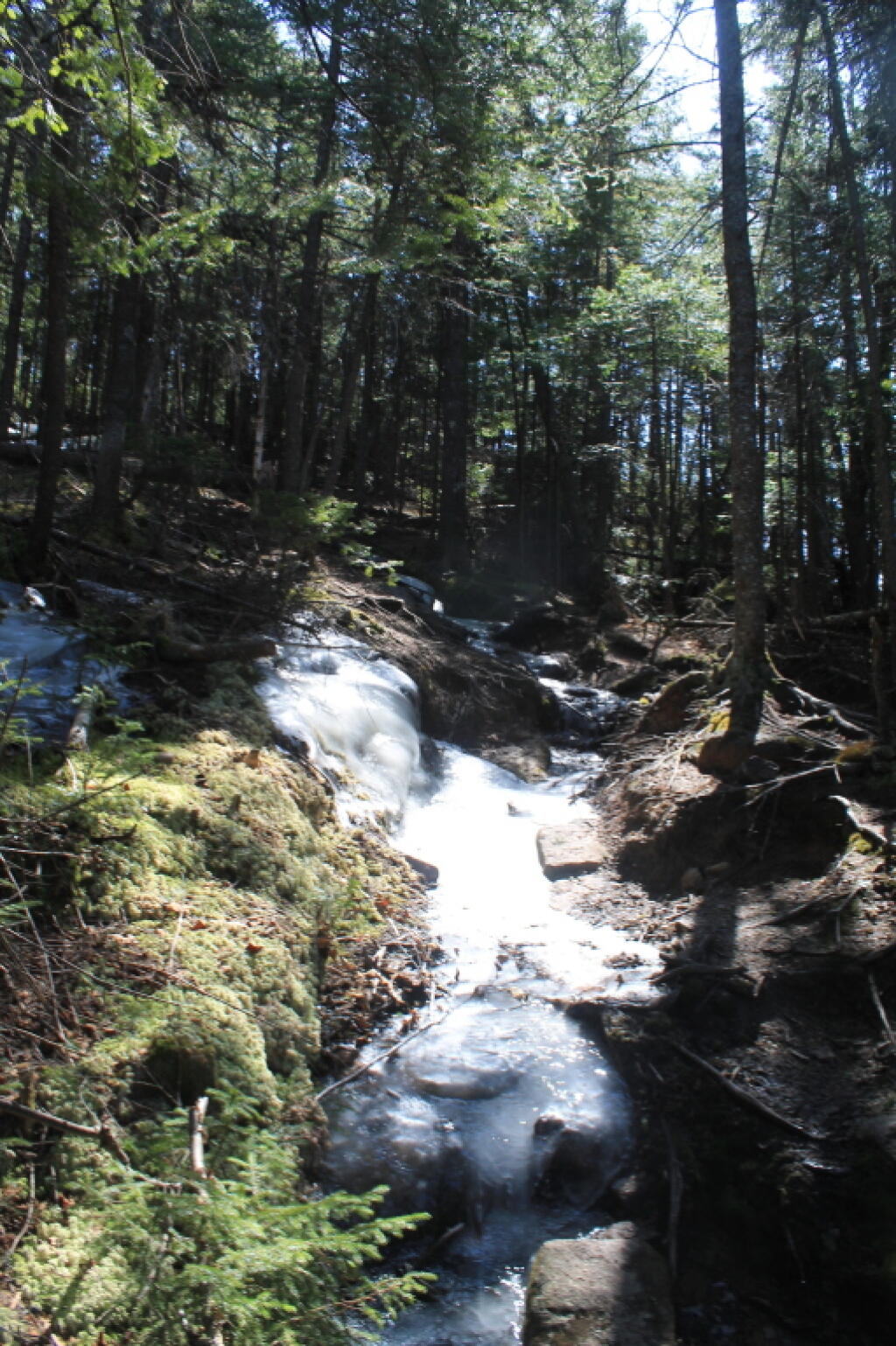 Photo: North Side Trail is Pretty Icy Photo: North Side Trail is Pretty Icy