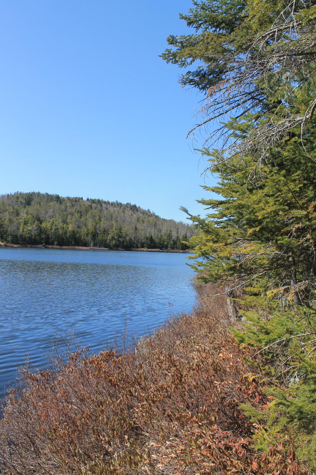 Photo: Next to Crane Pond Photo: Next to Crane Pond