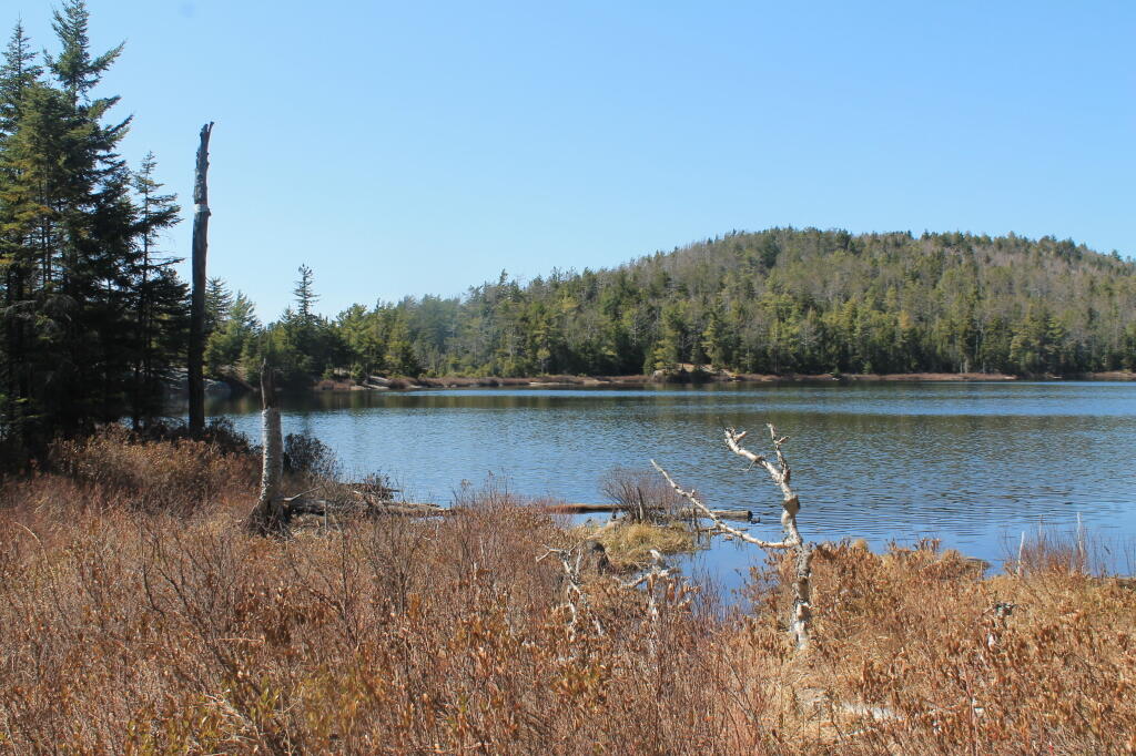 Photo: Across Crane Pond to Crane Pond Hill