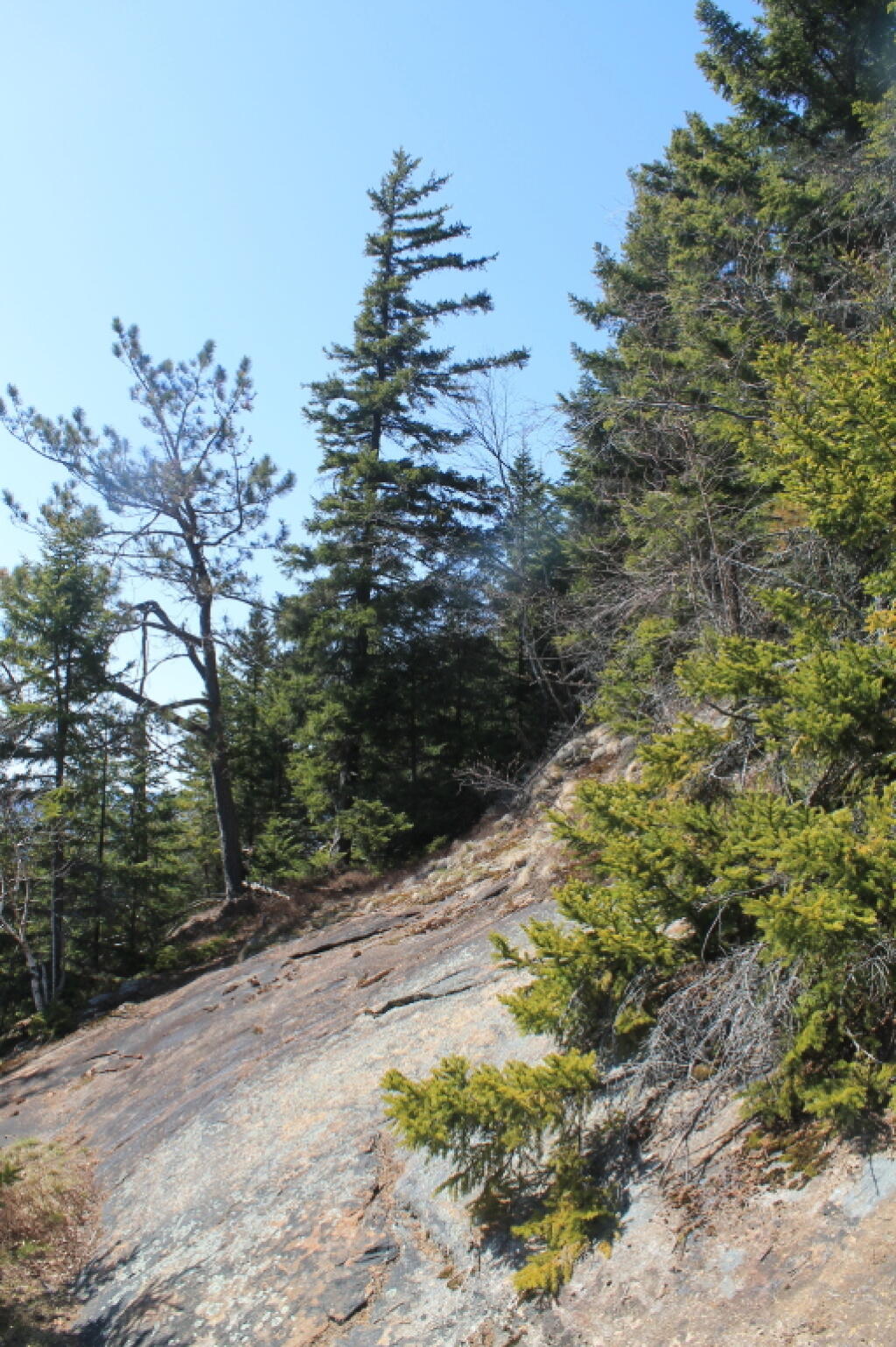 Photo: Heading Down an Open Slide