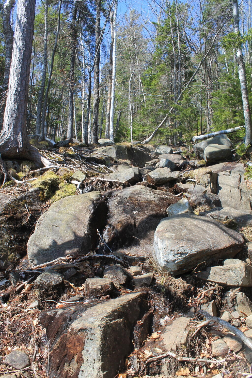 Photo: Climbing Down the Large Rocks Photo: Climbing Down the Large Rocks
