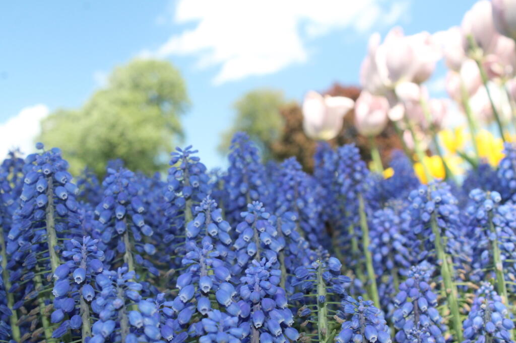 Photo: Img 9829 Photo: Img 9829