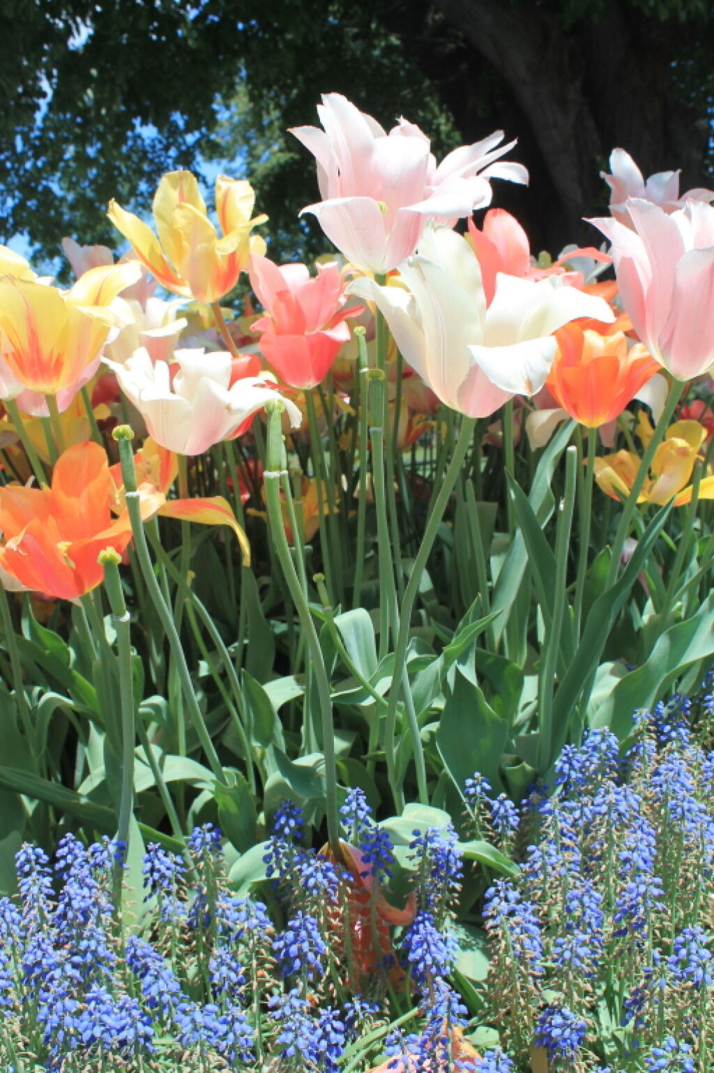 Photo: Image No. 9880 Photo: Image No. 9880