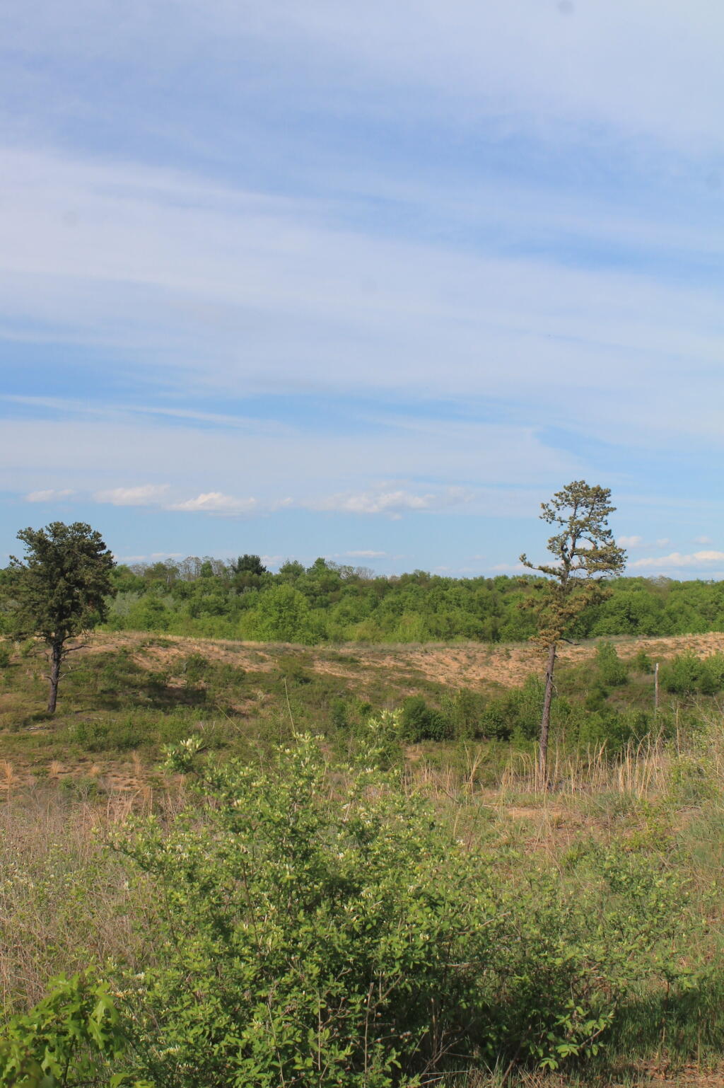 Photo: Next Sand Dune Over
