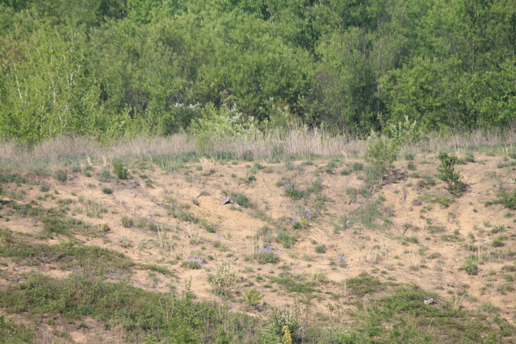 Photo: IMG 0021 Photo: IMG 0021