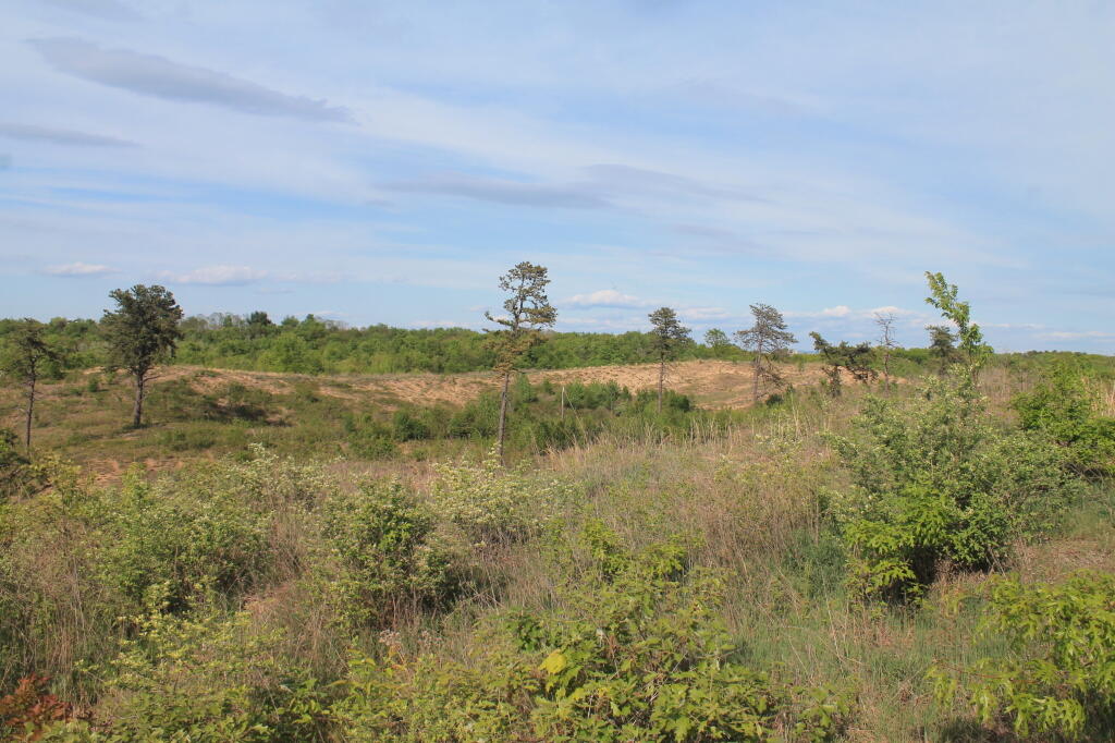 Photo: IMG 0022 Photo: IMG 0022