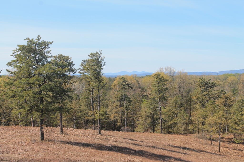Photo: From Overlook Dune Photo: From Overlook Dune