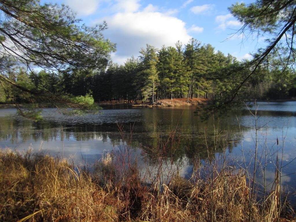 Photo: CCC Pond