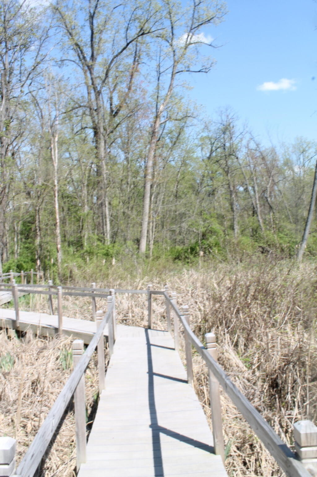 Photo: Bridge to the River
