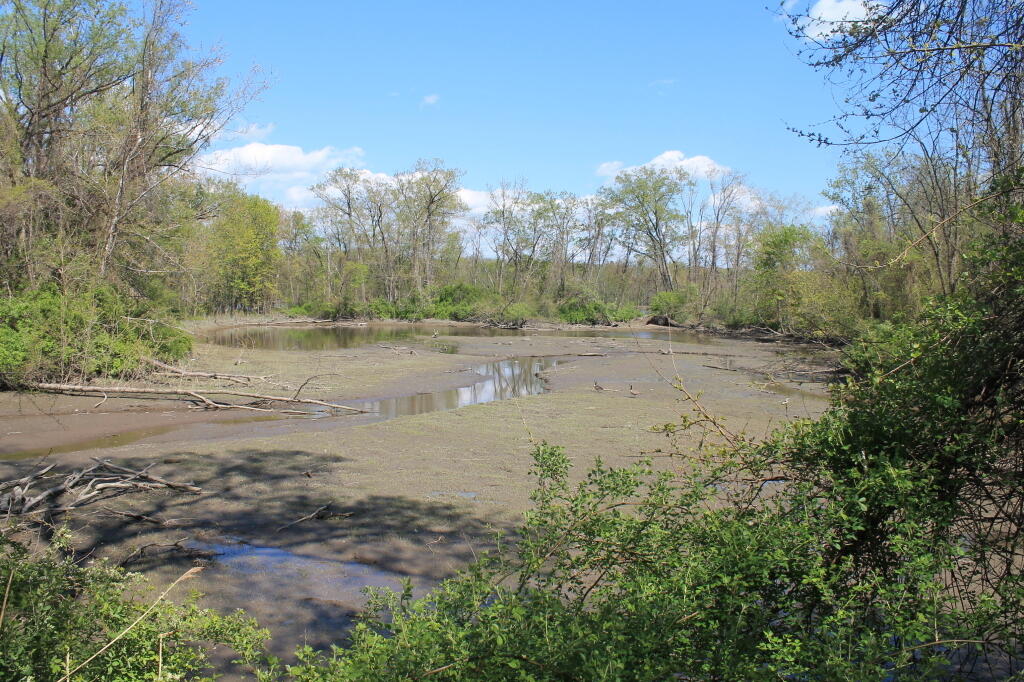 Photo: Tidal Pond