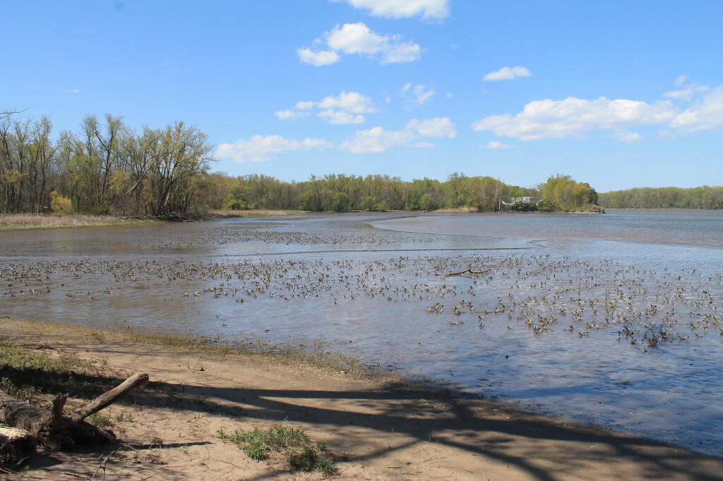 Photo: Very Low Tide
