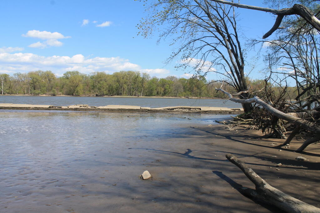 Photo: River as a Mud Flat