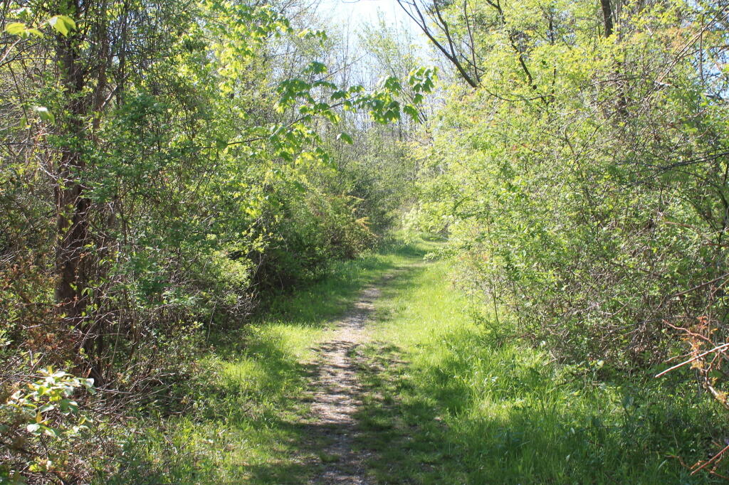 Photo: Bright Green