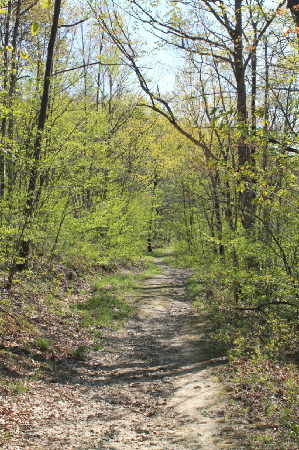 Photo: Along the Ravine
