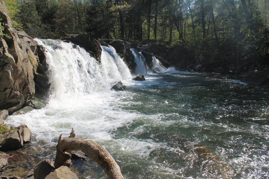Photo: At the Base of the Falls