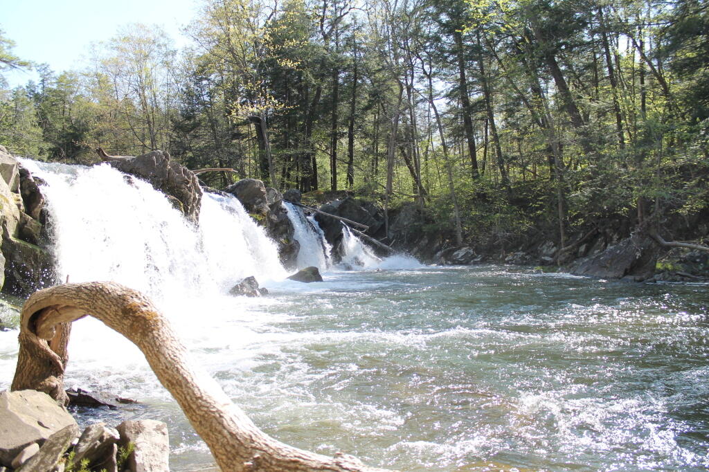 Photo: The Waterfalls