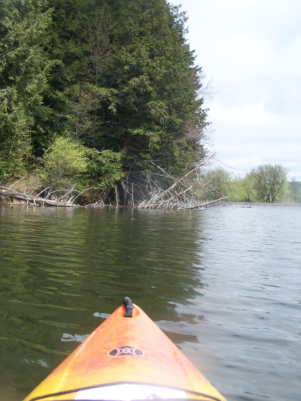 Photo: Behind the Island