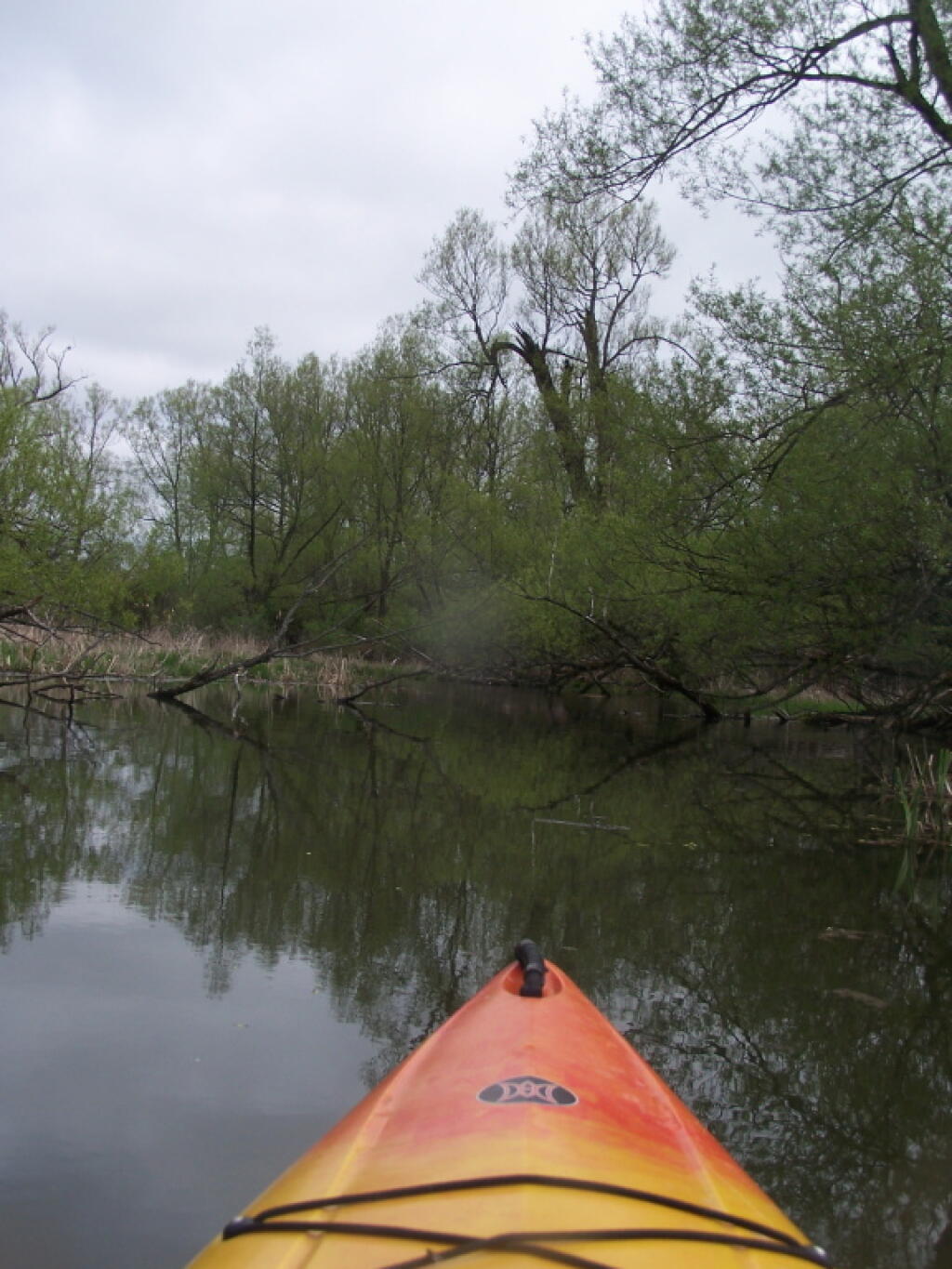 Photo: Heading Up the River