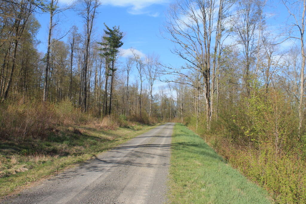 Photo: Truck Trail 7 Photo: Truck Trail 7