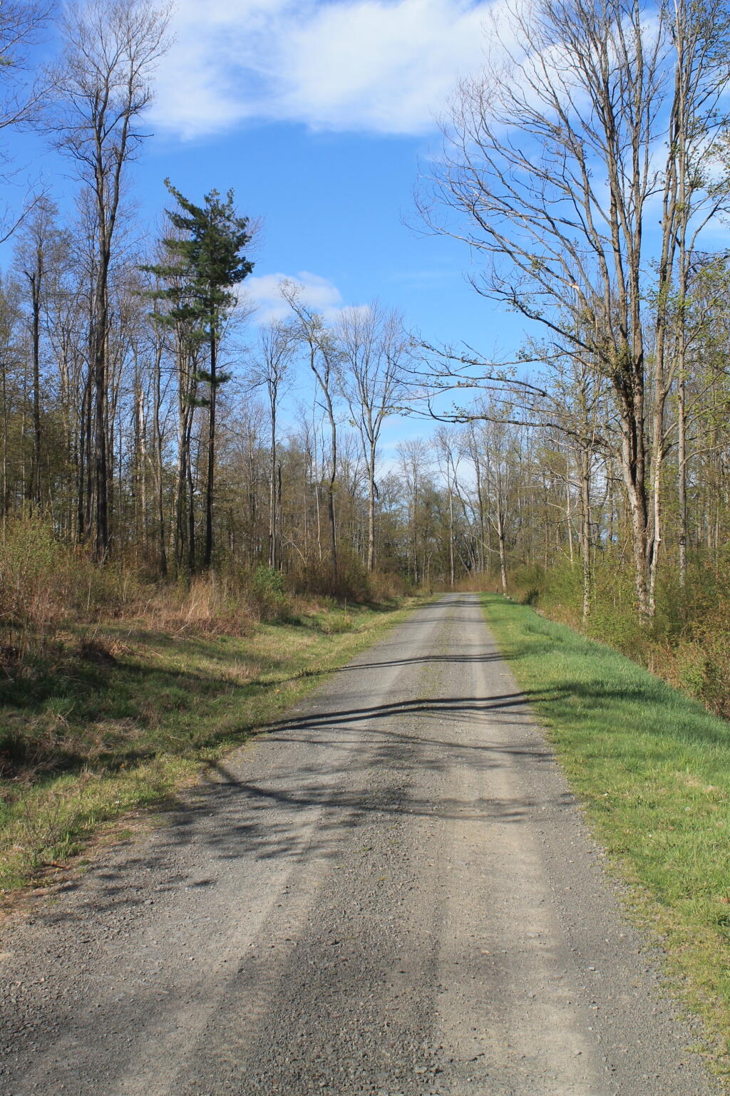 Photo: Open Road