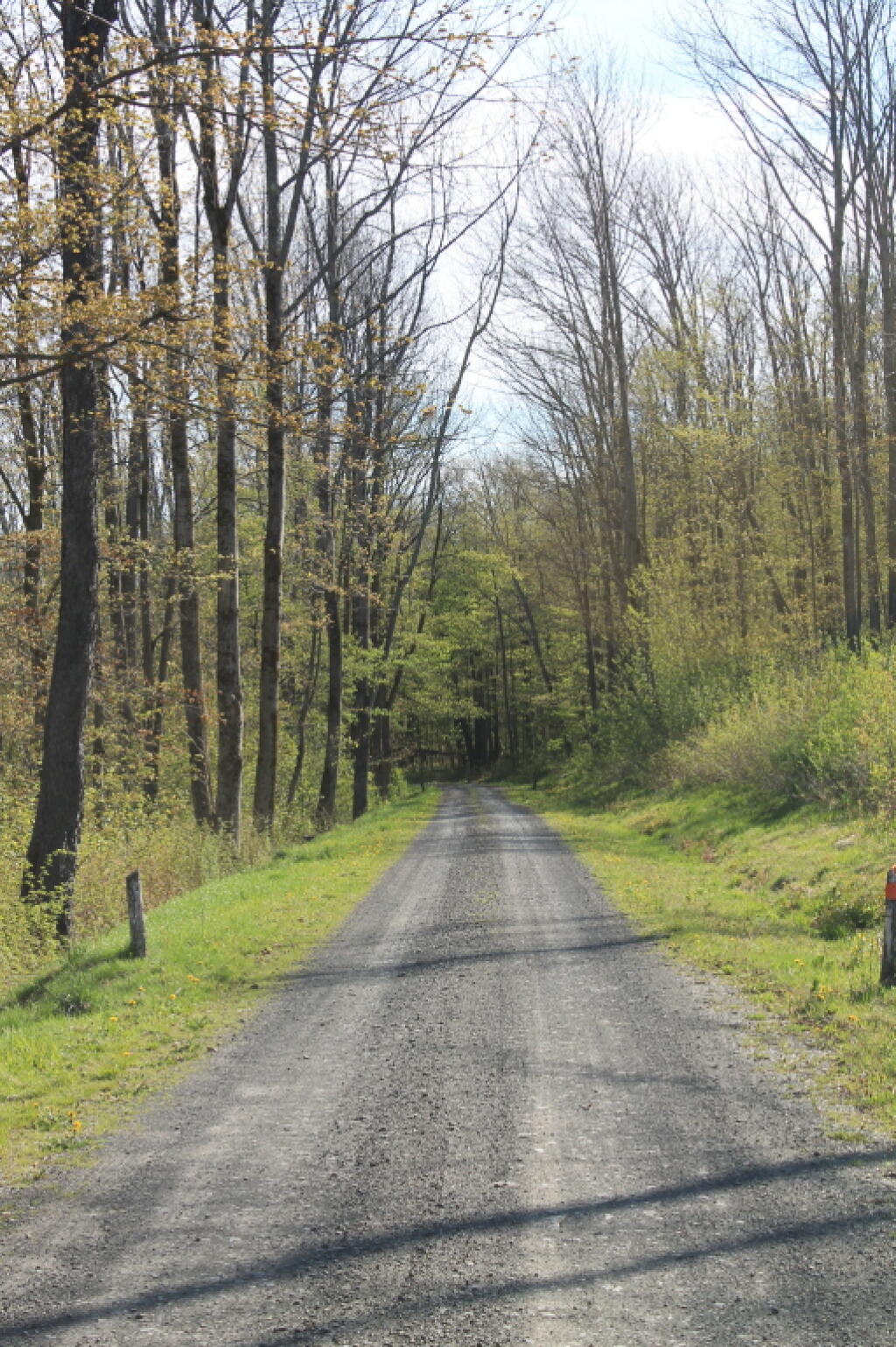 Photo: Down Hill