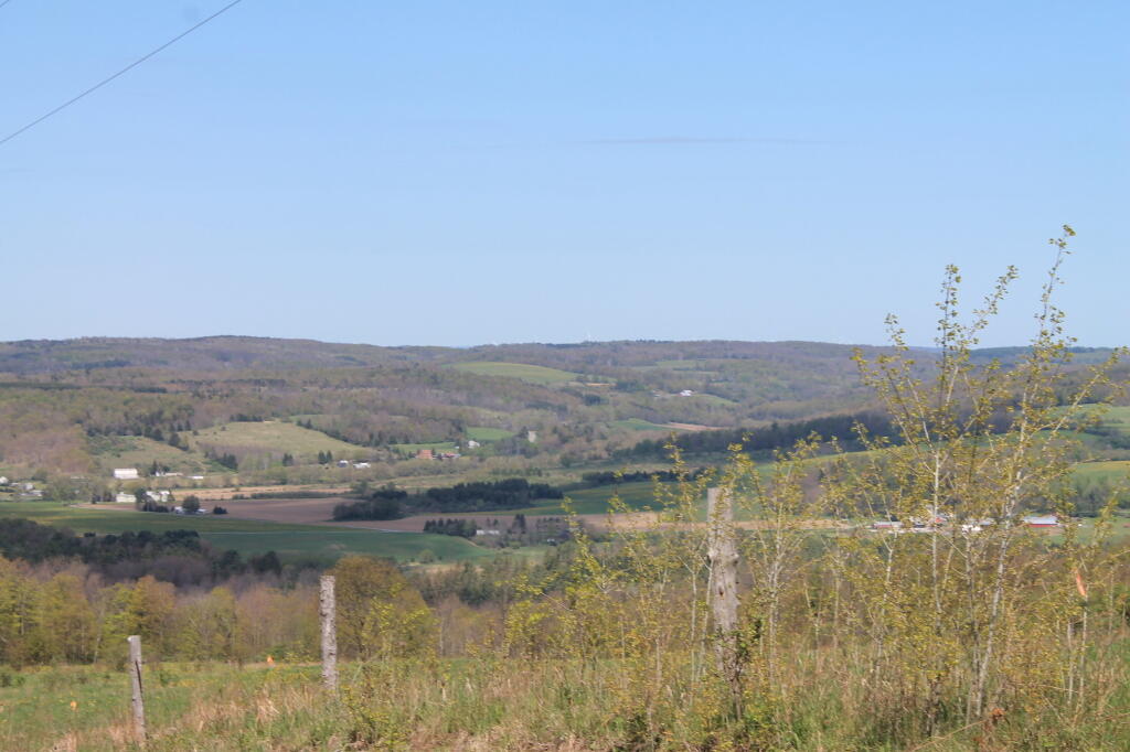 Photo: Sangerfield Valley Where Nine Mile Swamp Runs Photo: Sangerfield Valley Where Nine Mile Swamp Runs