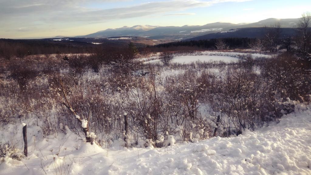 Photo: OSI Pond