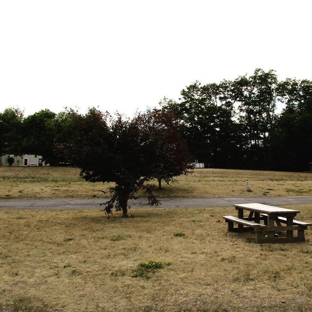 Photo: Drought has made grass look like mid winter Photo: Drought has made grass look like mid winter