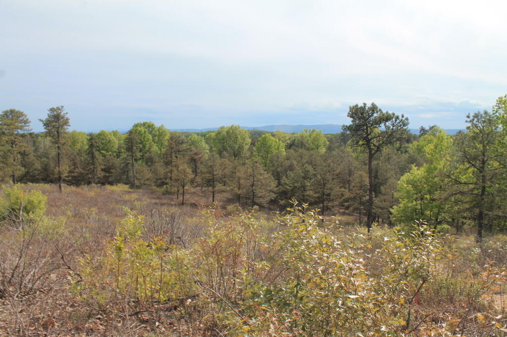 Photo: View from Overlook Dune Photo: View from Overlook Dune