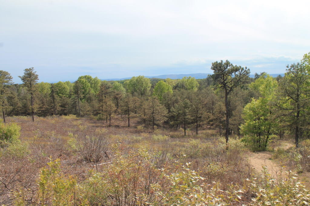 Photo: Off Overlook Dune