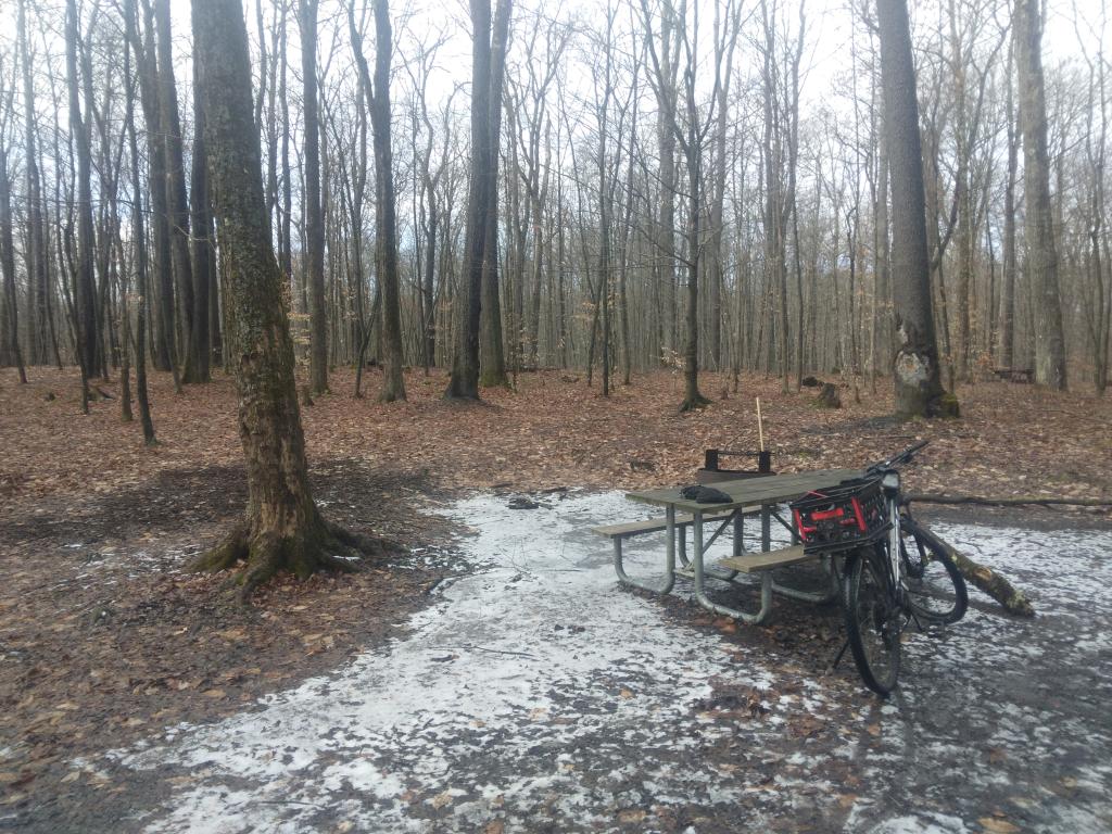Photo: Nobody camping at Cherry Ridge Camping Area this year for Christmas Photo: Nobody camping at Cherry Ridge Camping Area this year for Christmas