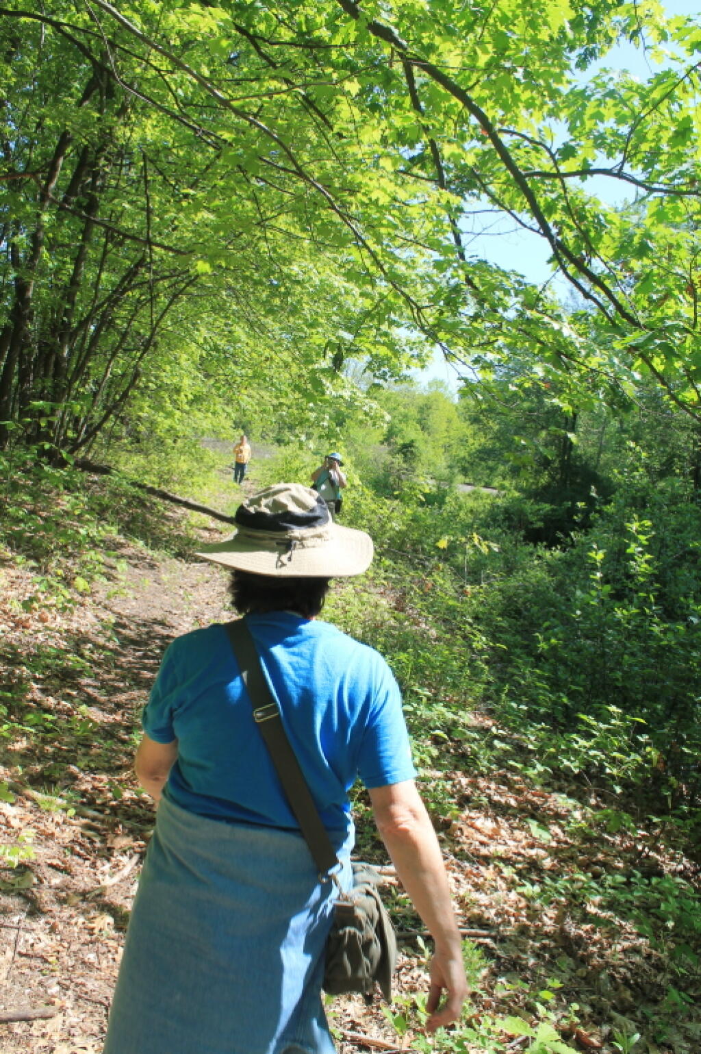 Photo: Hiking Into Woodlawn Preserve