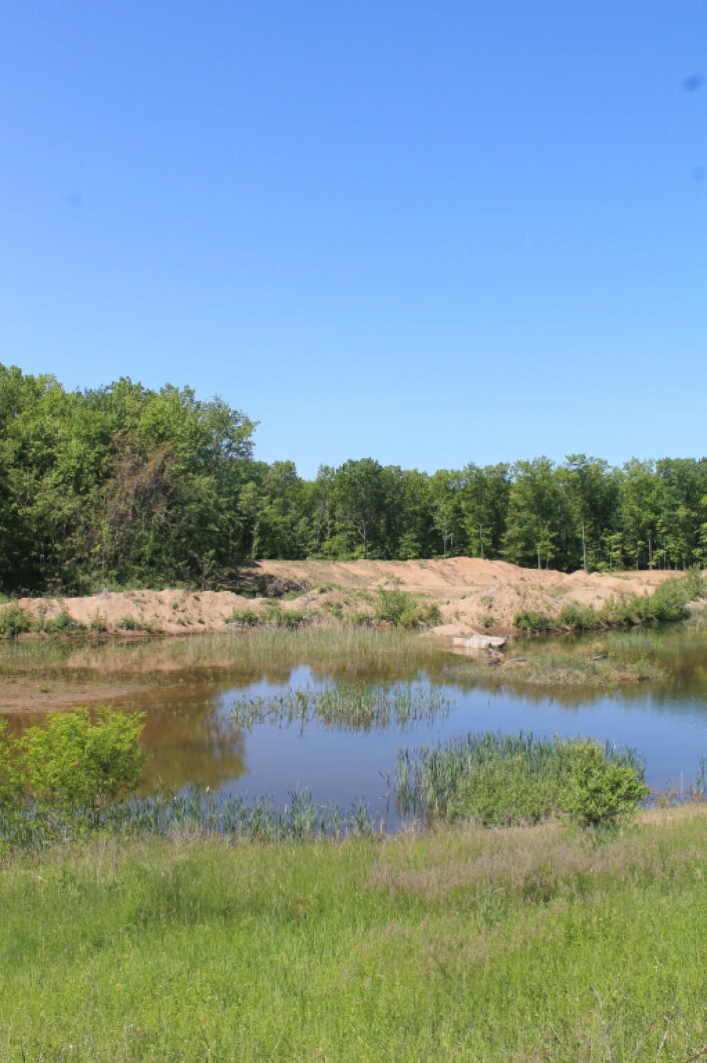 Photo: Callahan's Sand Pit Restoration Photo: Callahan's Sand Pit Restoration