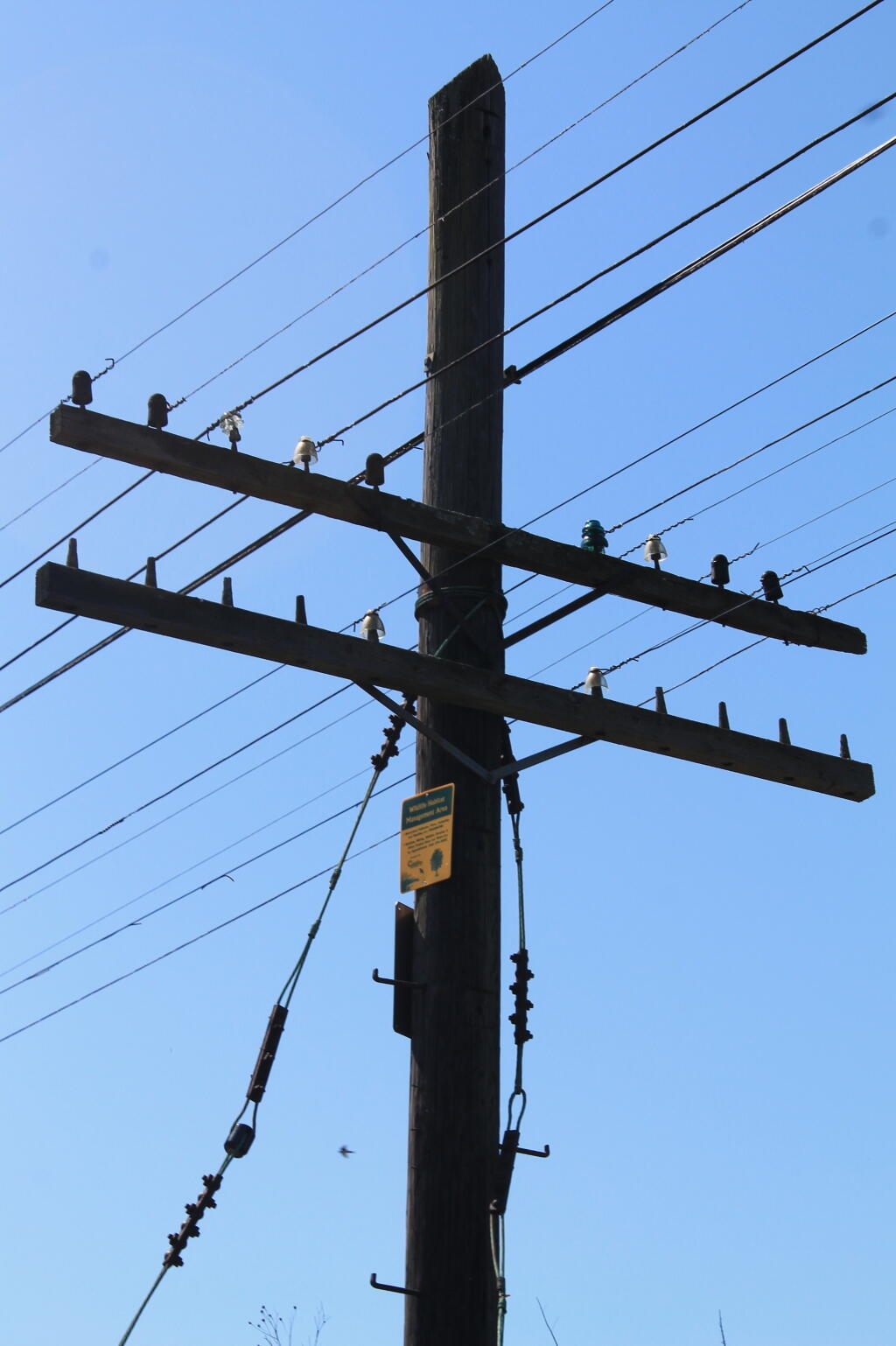 Photo: Old Telephone Lines