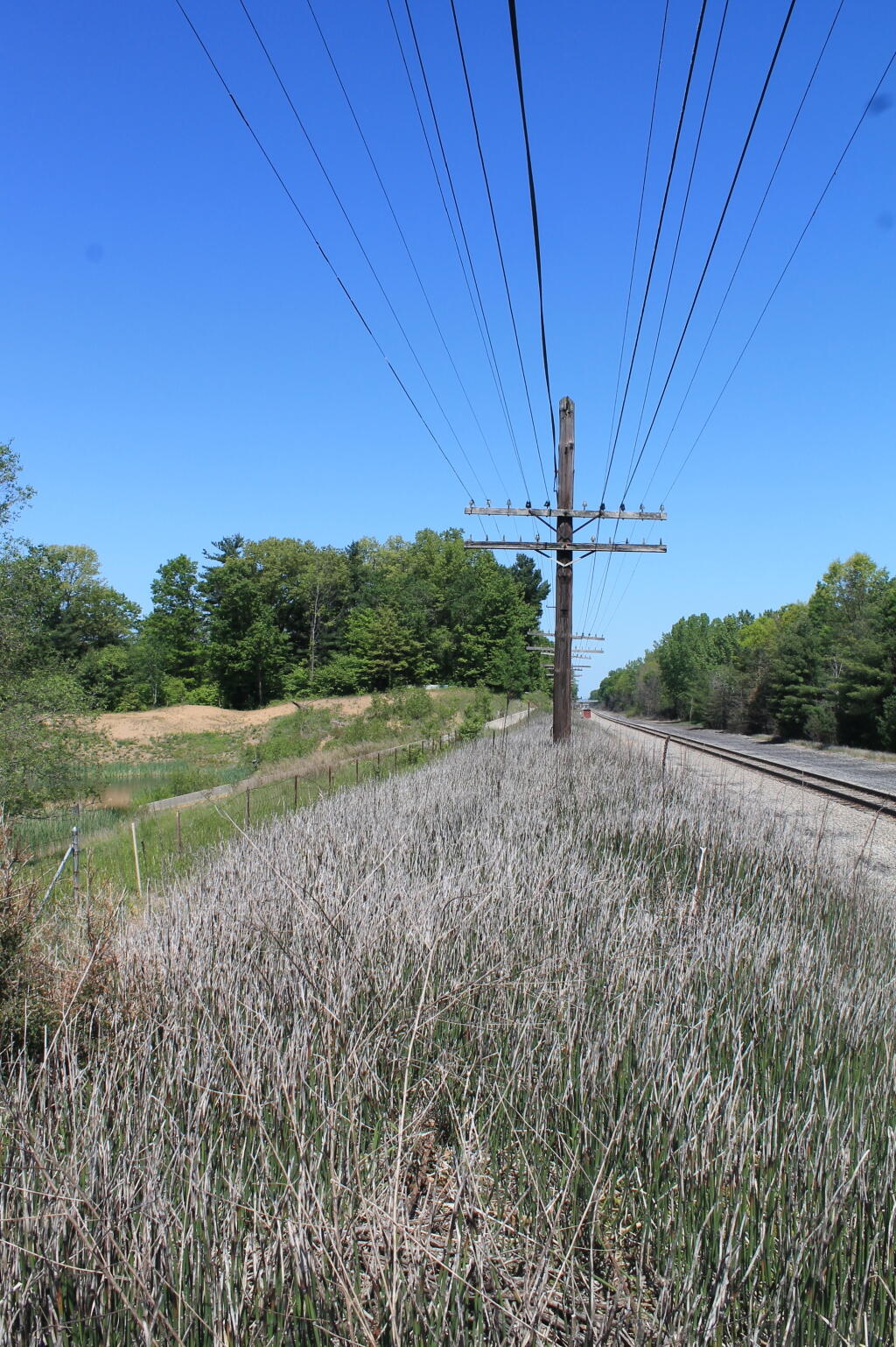 Photo: Lines