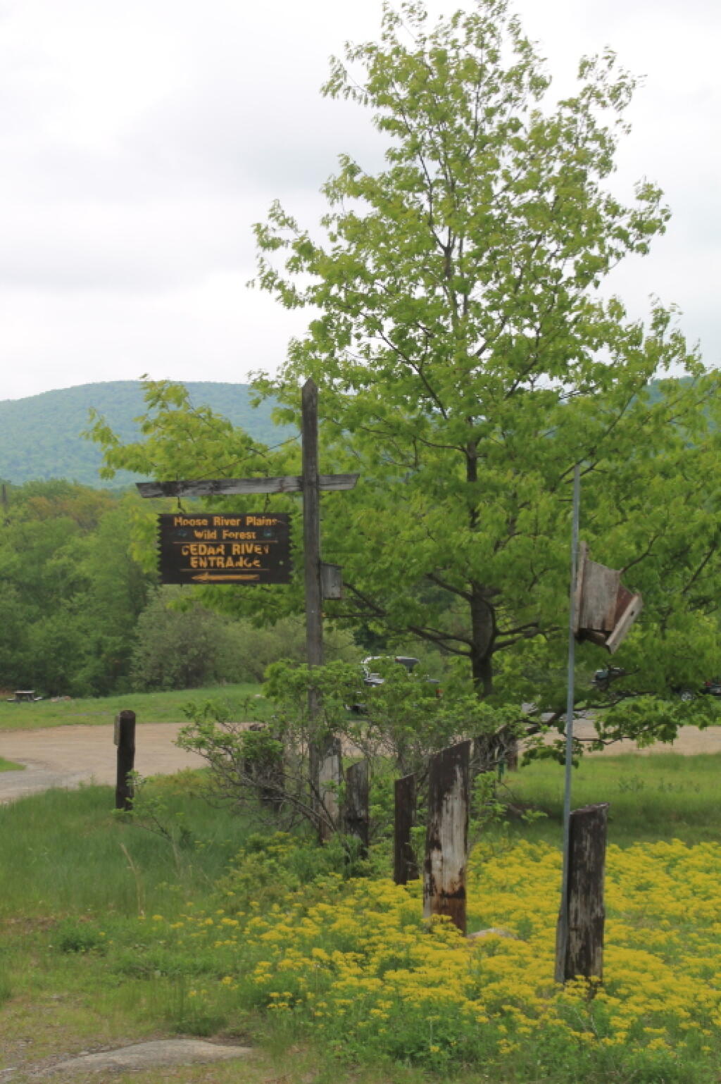 Photo: Cedar River Entrance Sign