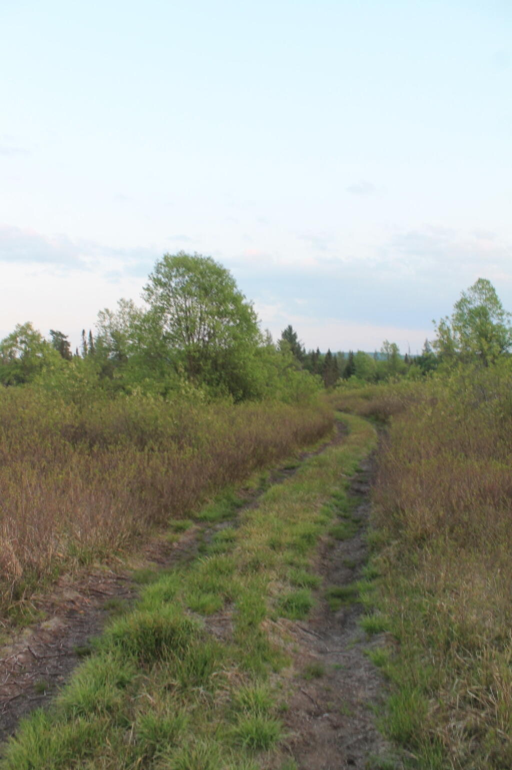 Photo: The Plains