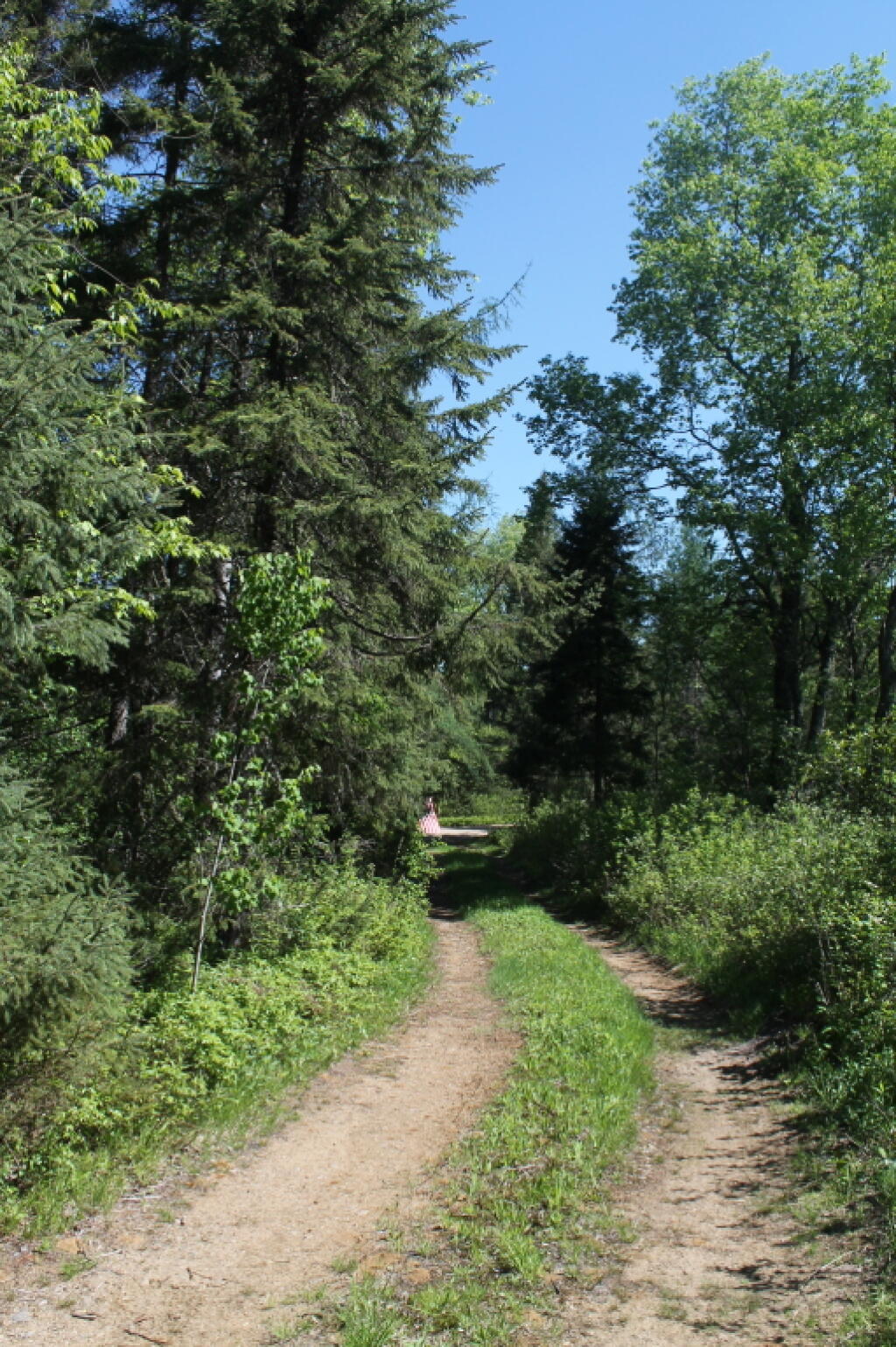 Photo: Driveway from Campsite to Road