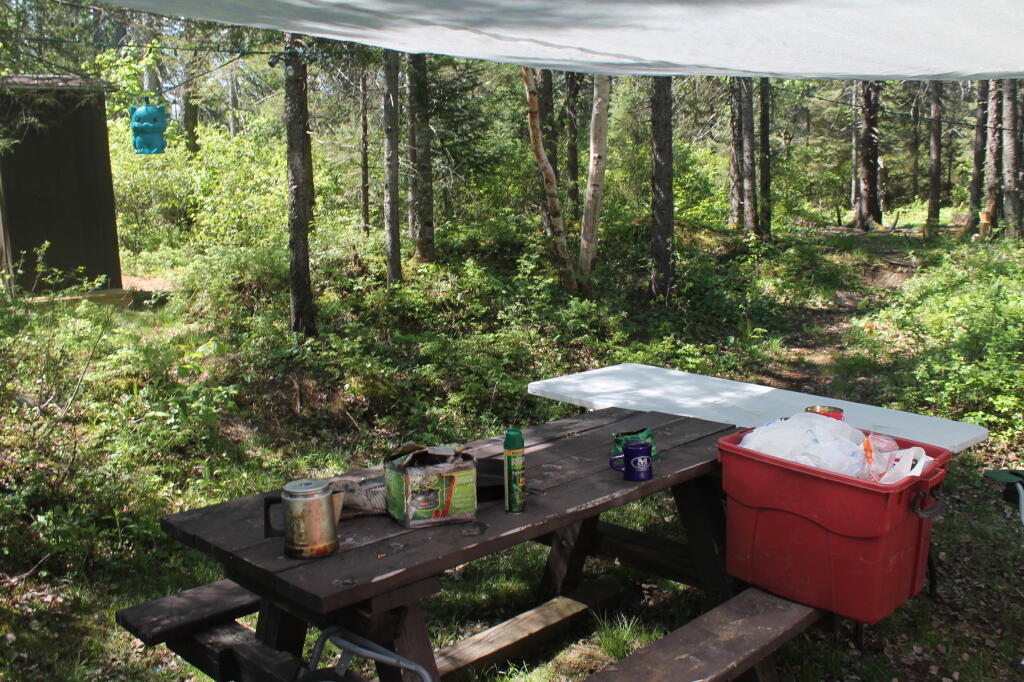 Photo: Picnic Table