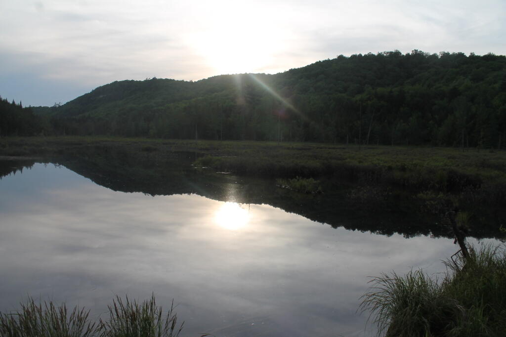 Photo: Sunset at Swamp Along Silver Run