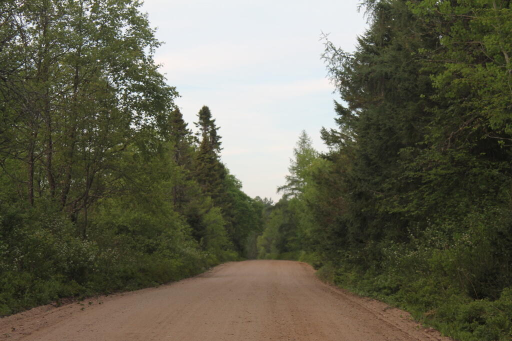 Photo: Road in the Plains