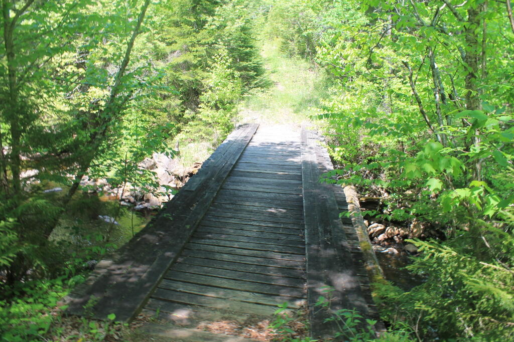 Photo: Old Bridge Across Summer Stream