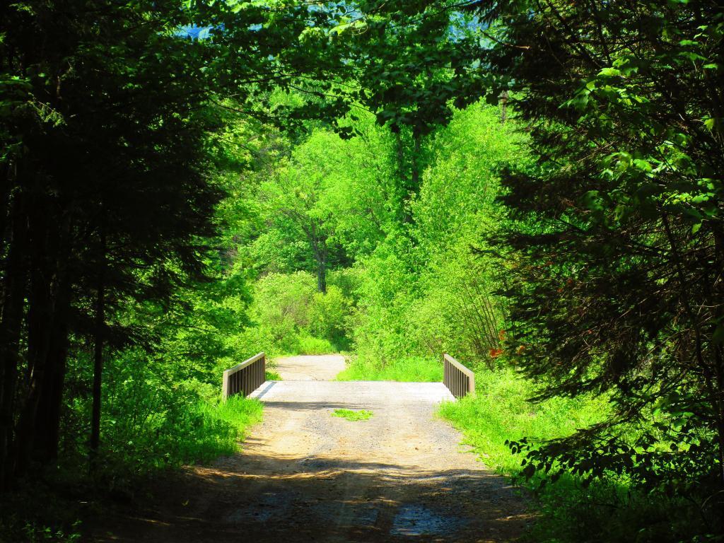 Photo: Cave Mountain Road Bridge