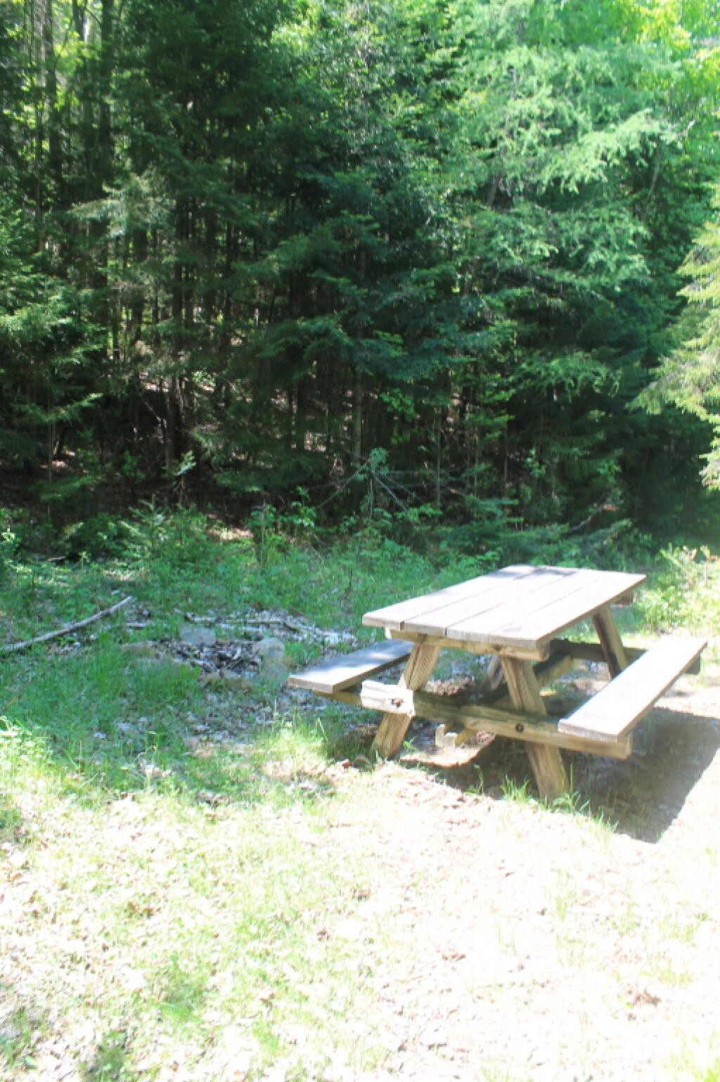 Photo: Pinic Table at Lost Ponds